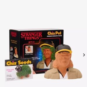 Stranger Things Chia Pet Dustin